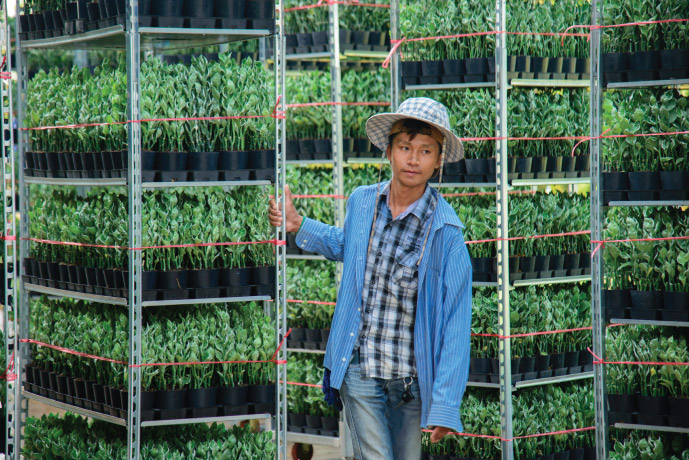 Easy plant farm ,Pot plant farm, Pot plant center thailand